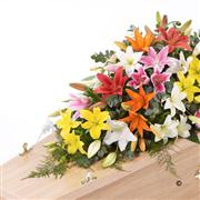 Lily Casket Spray - Mixed Colours 4ft