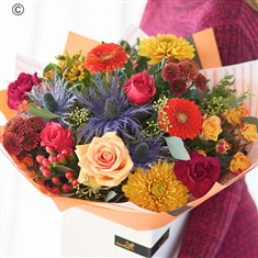 The Golden Hour